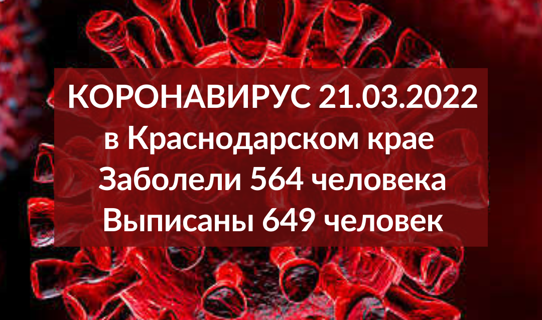 На Кубани за сутки заразились коронавирусом ещё 564 человека